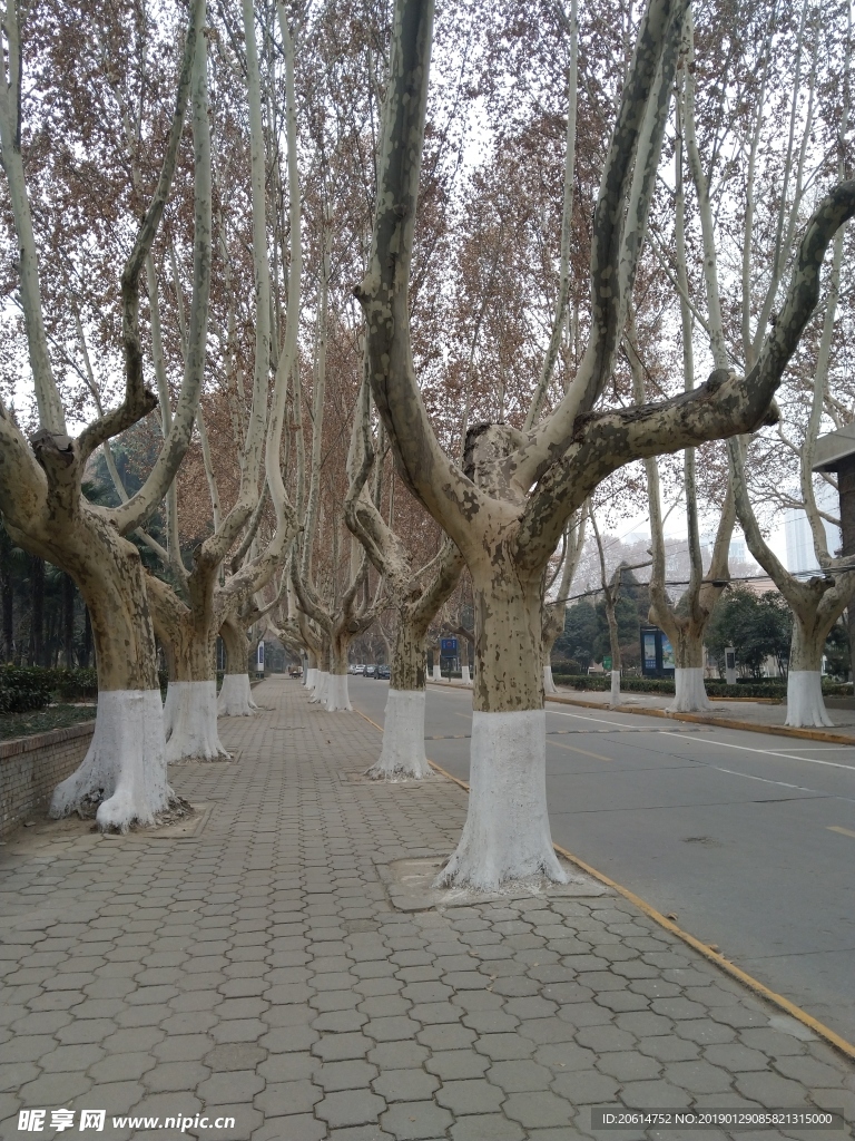 美丽的校园风景