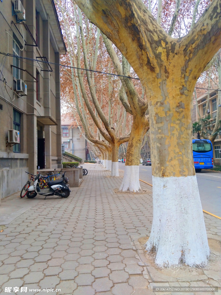 美丽的校园风景