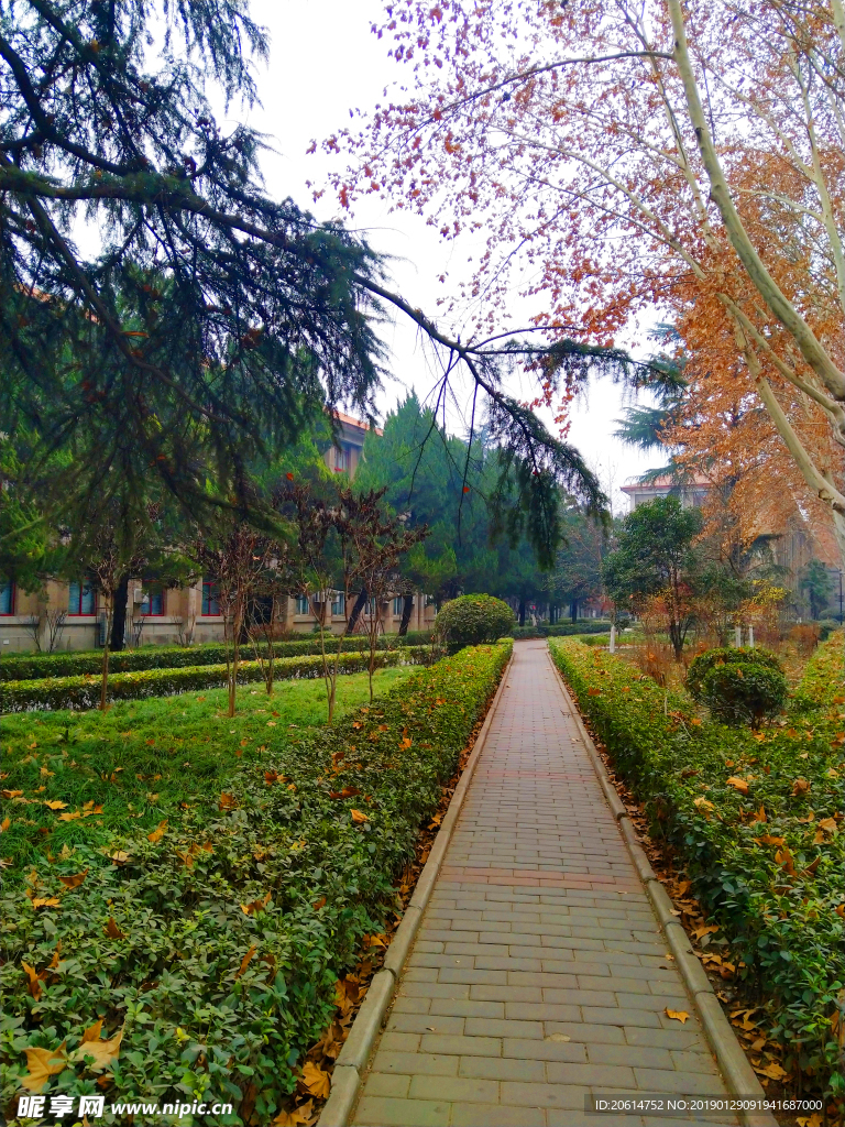美丽的校园风景