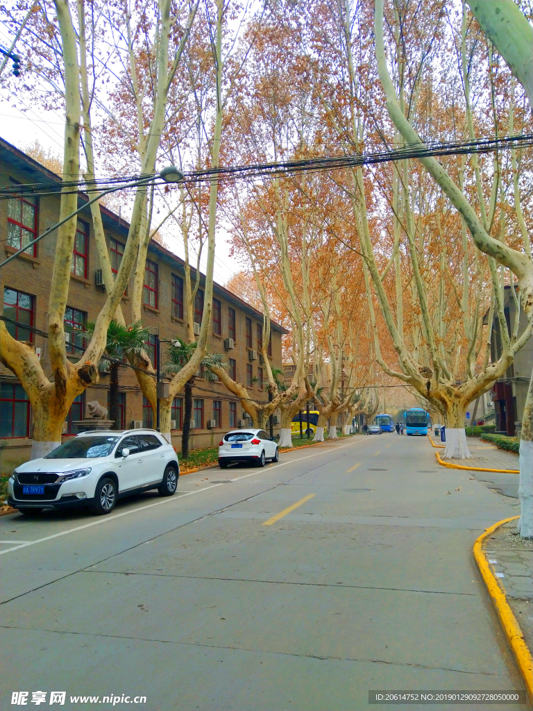 美丽的校园风景