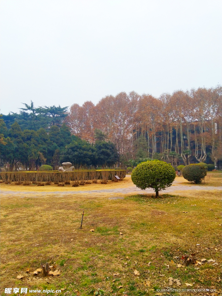 深秋时节的校园风景