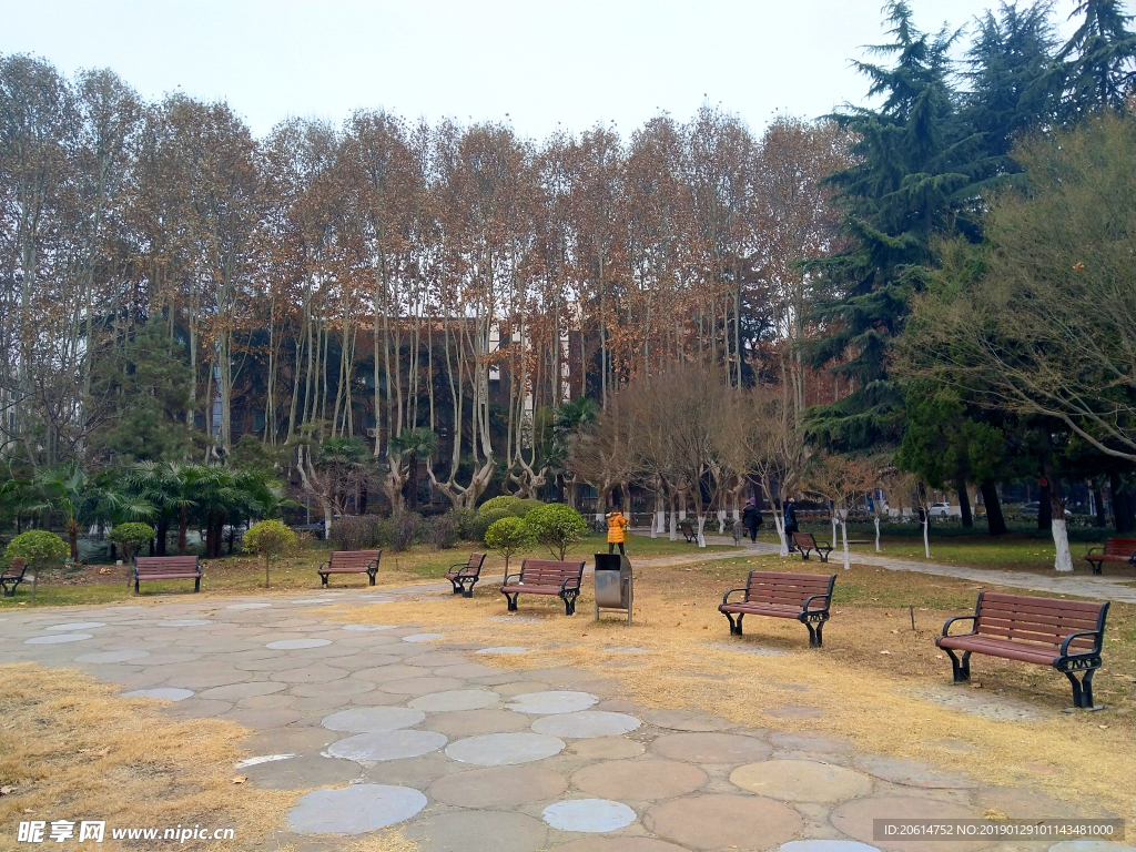 日暮下的校园风景