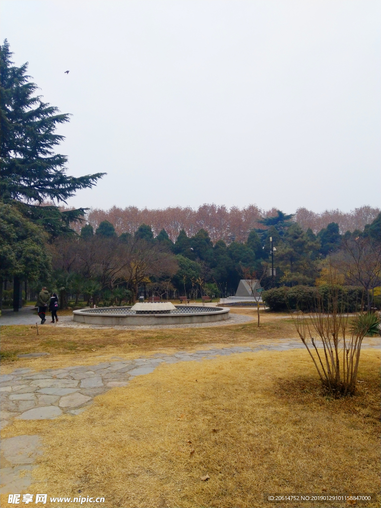 深秋时节的校园风景