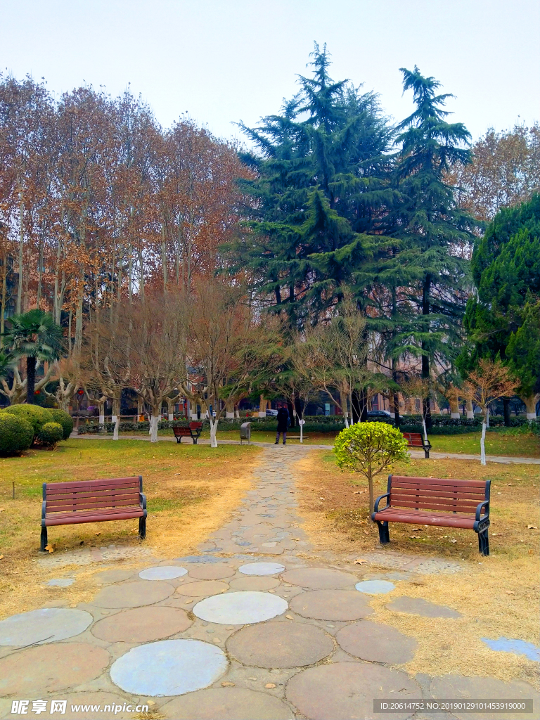 美丽的校园风景