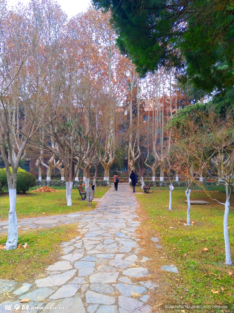 美丽的校园风景