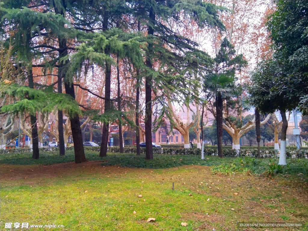 美丽的校园风景