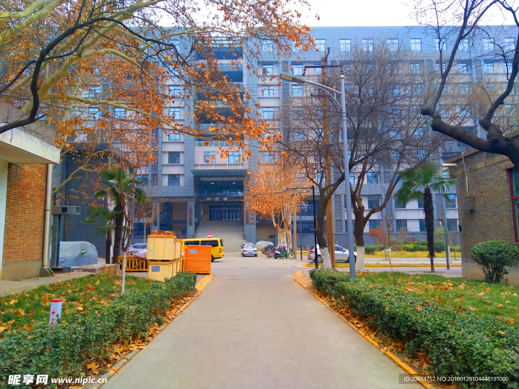 美丽的校园风景