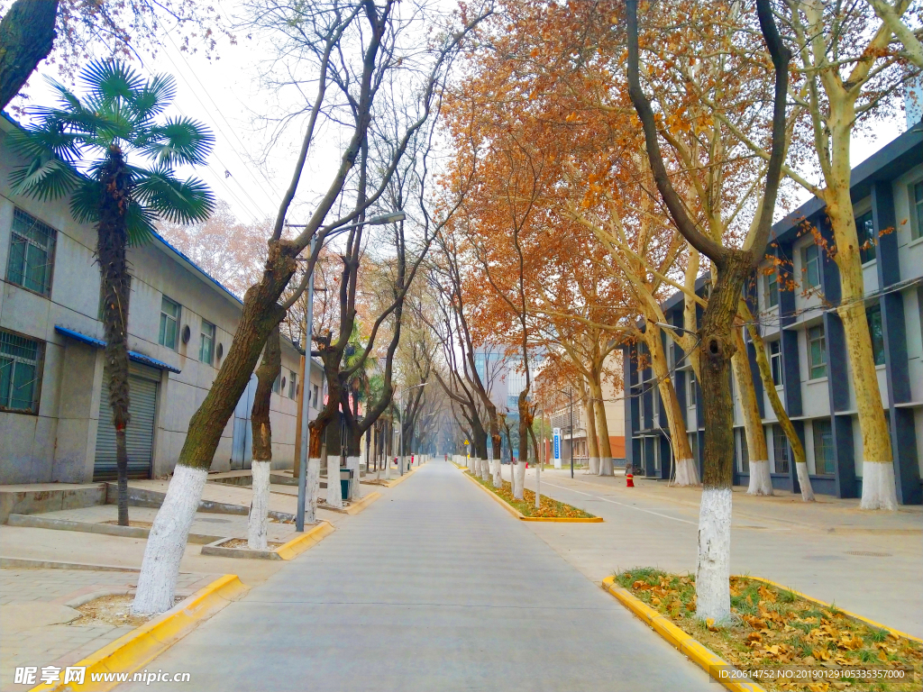 美丽的校园风景
