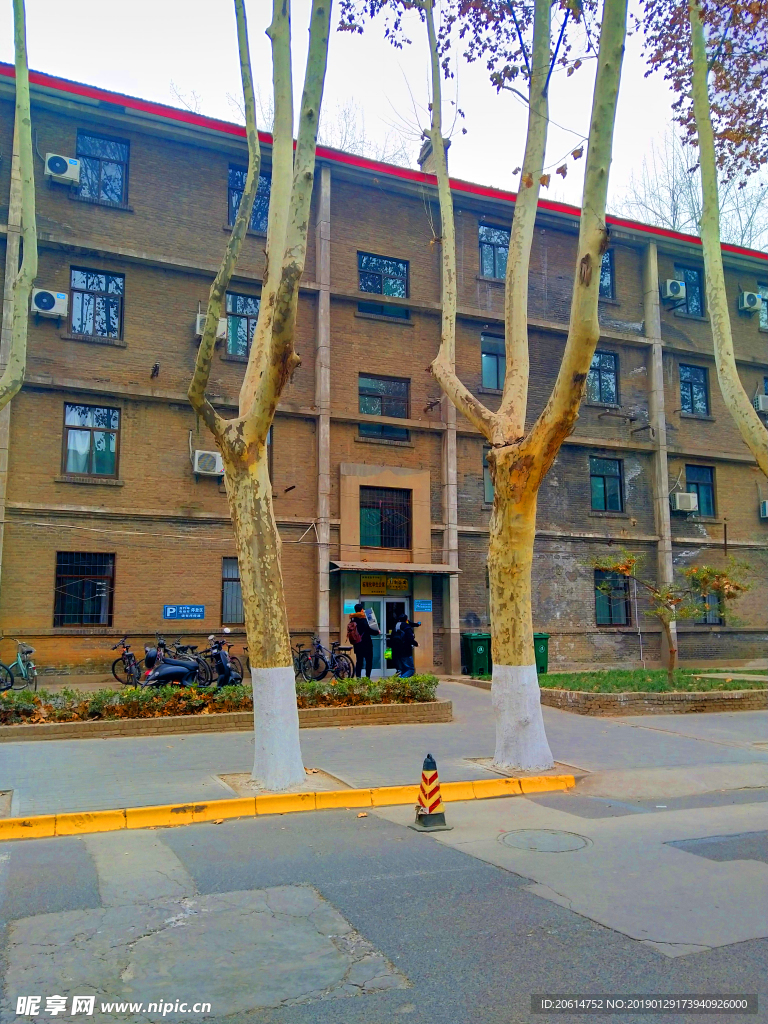 美丽的校园风景
