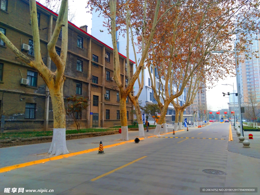 美丽的校园风景