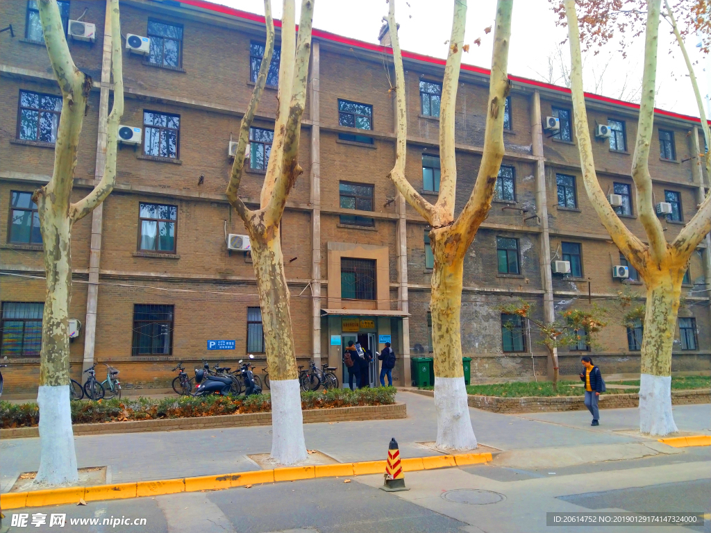 美丽的校园风景