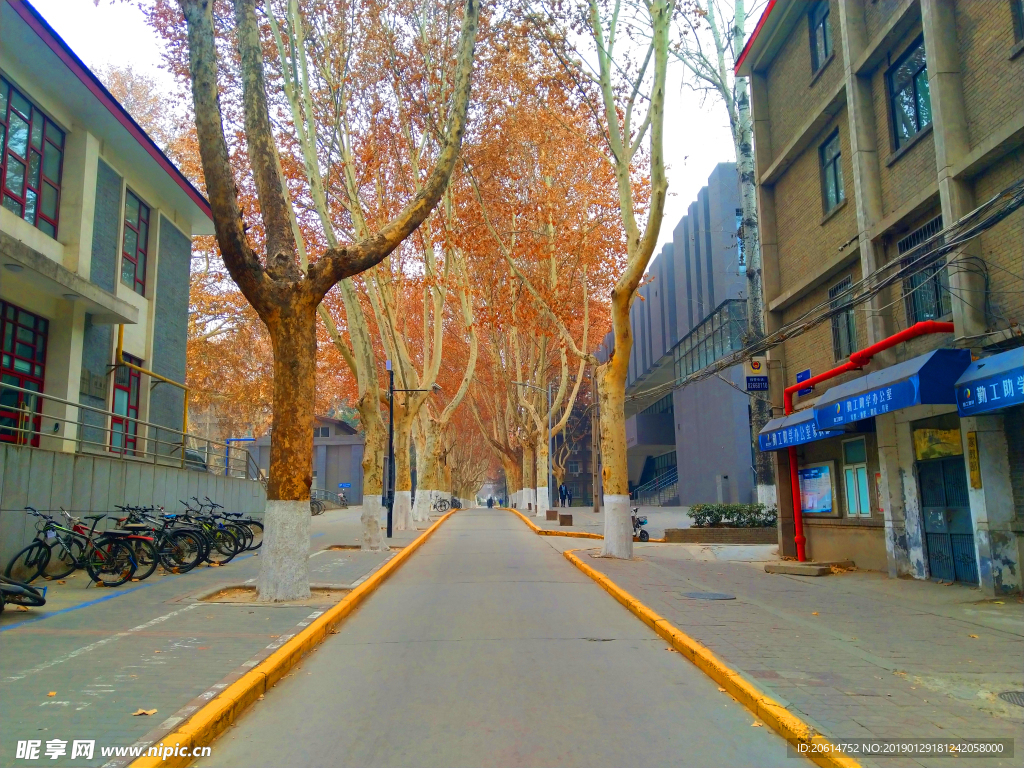美丽的校园风景