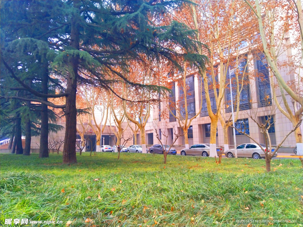 美丽的校园风景