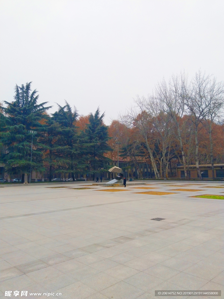 美丽的大学校园风景