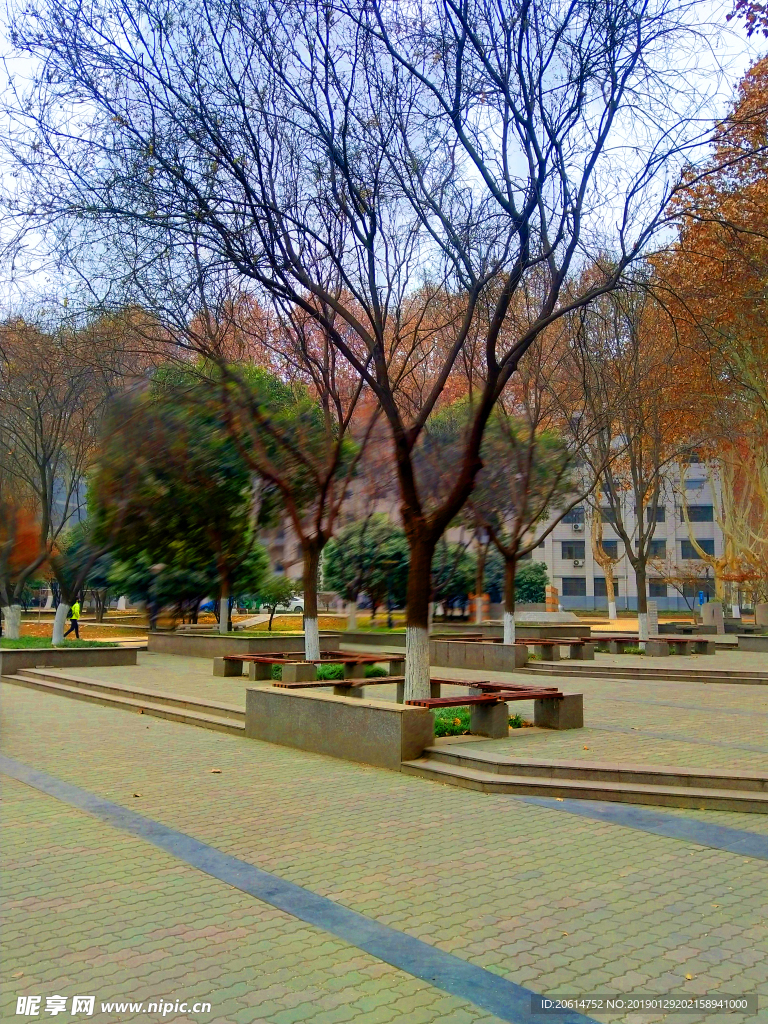 美丽的校园风景