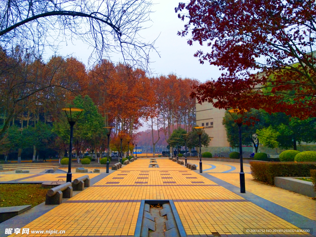 美丽的校园风景