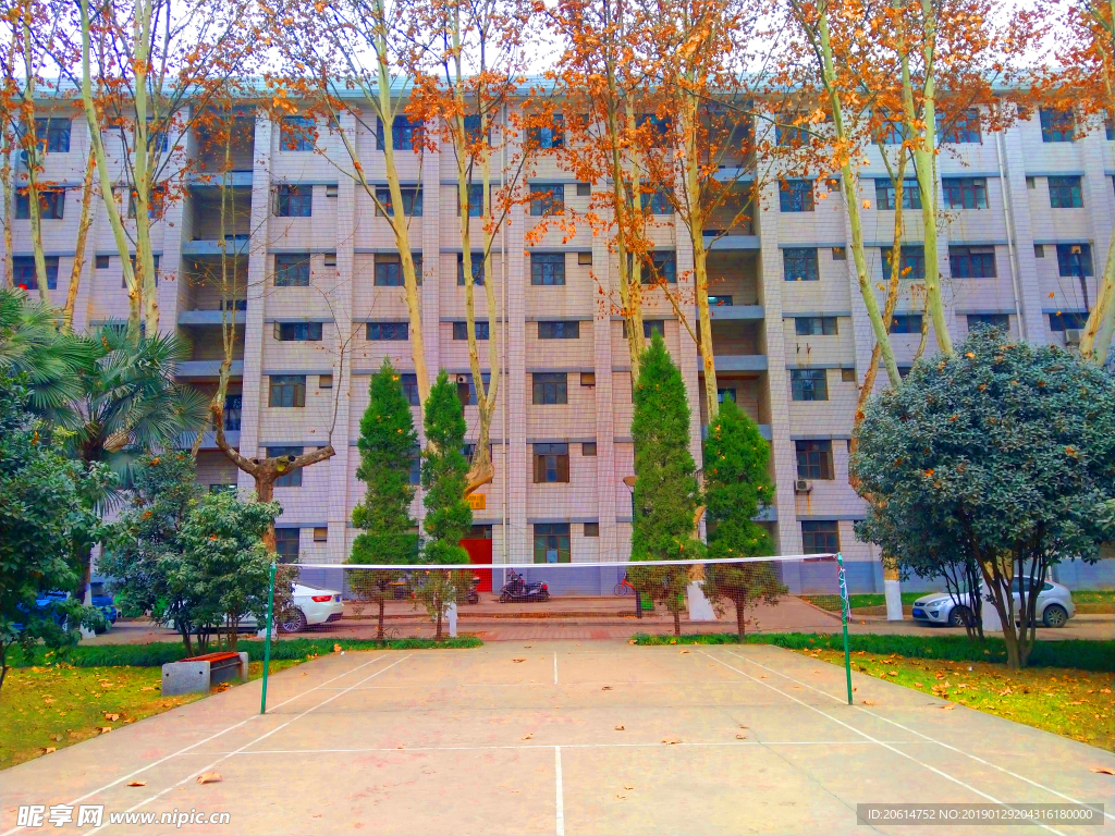 美丽的校园风景