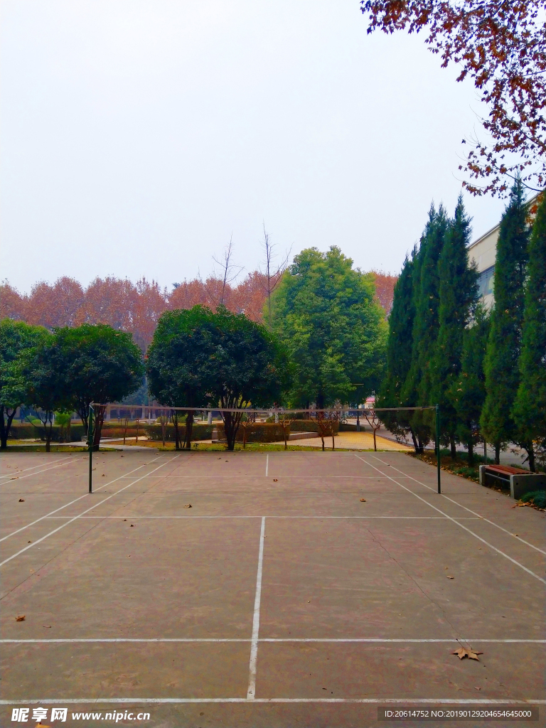 美丽的校园风景