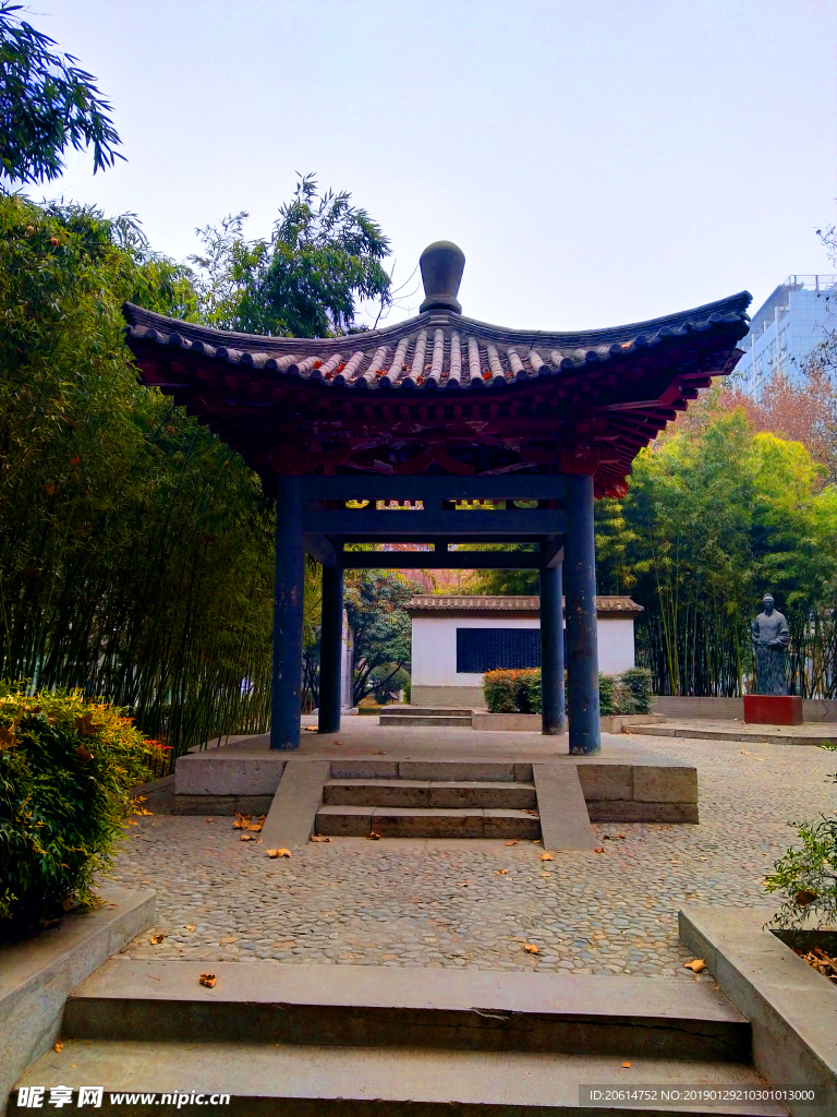 美丽的大学校园风景