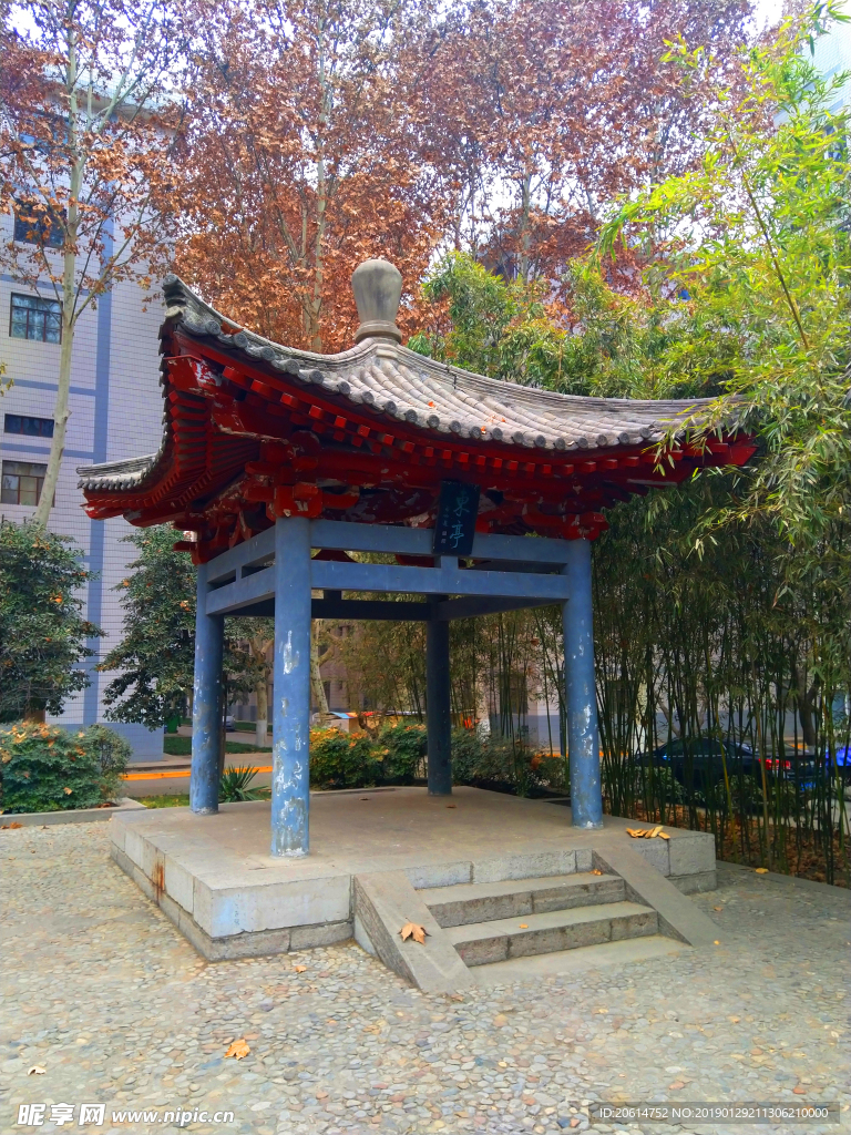 美丽的大学校园