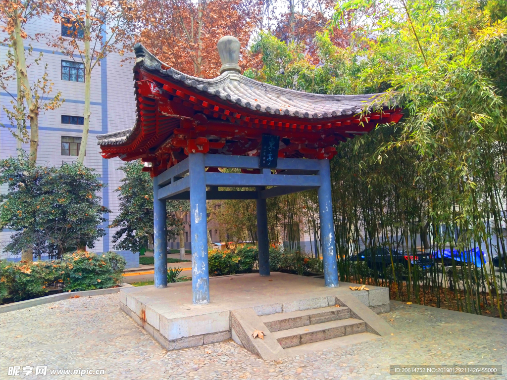 美丽的大学校园