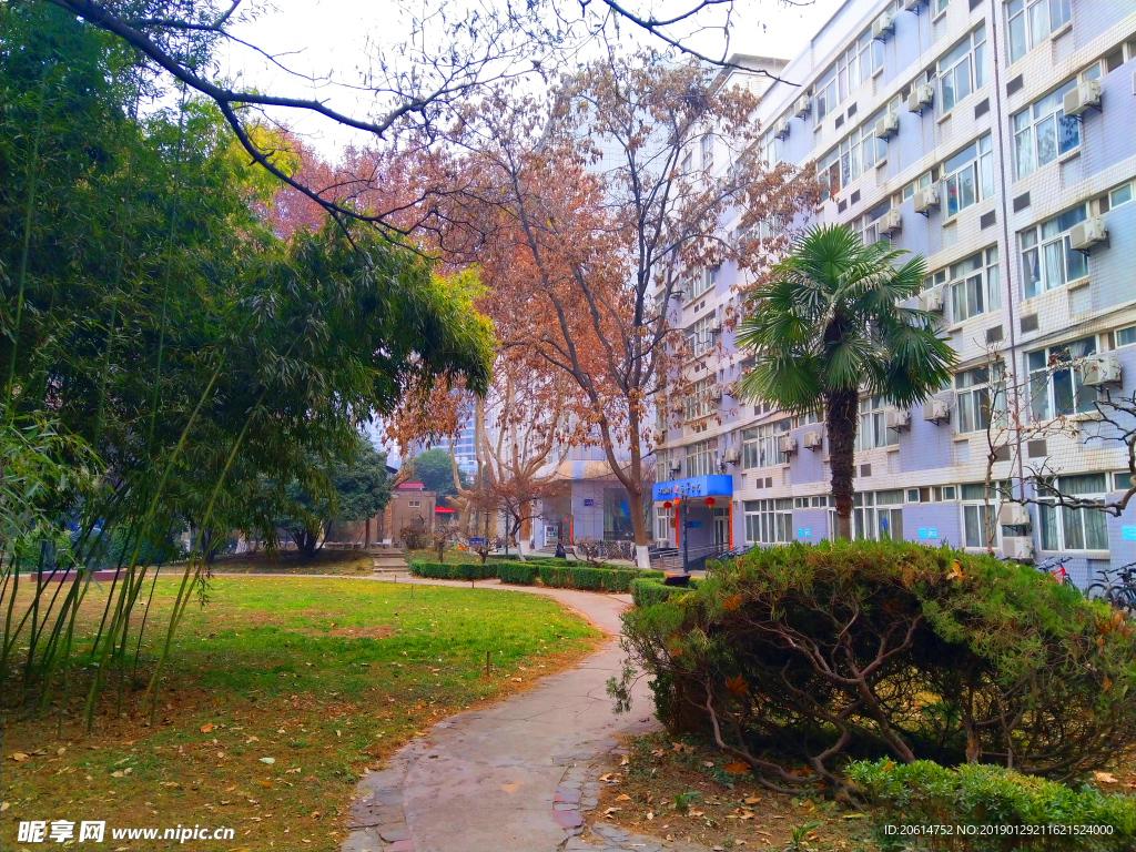 美丽的校园风景
