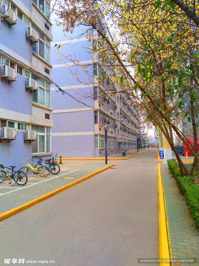 美丽的校园风景