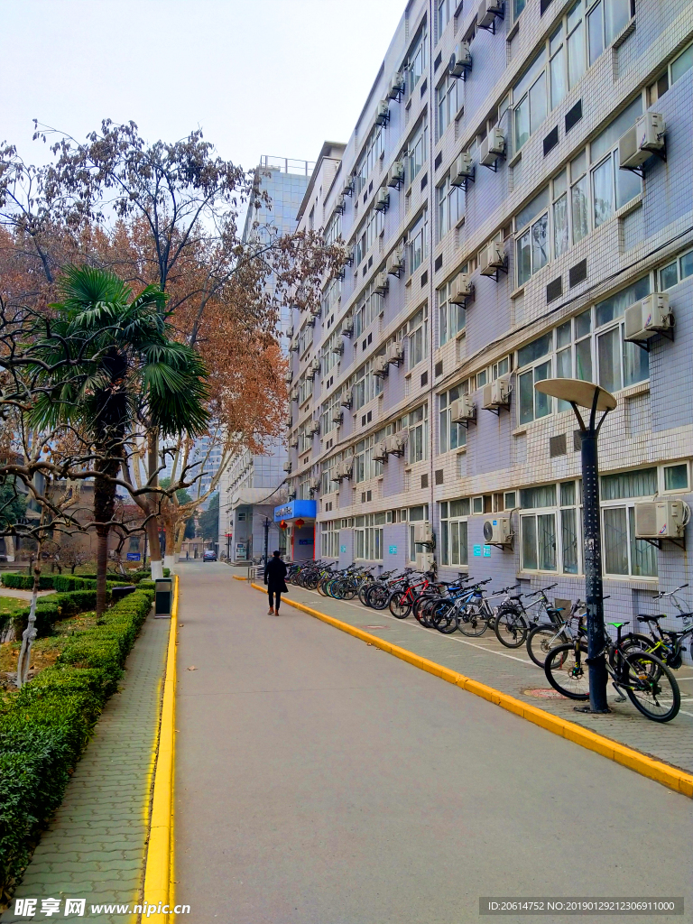 美丽的大学校园