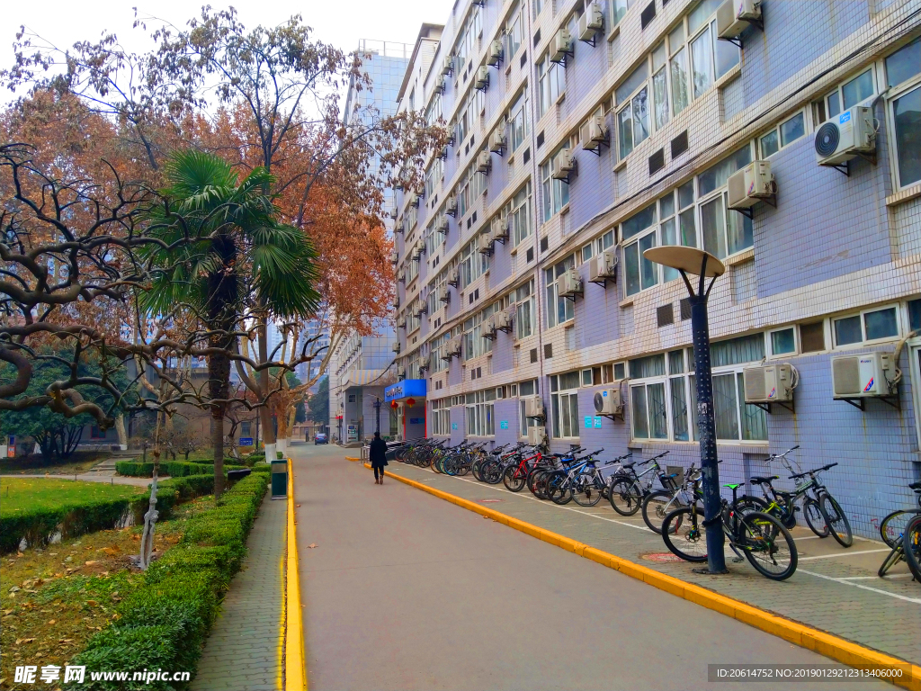 美丽的大学校园风景