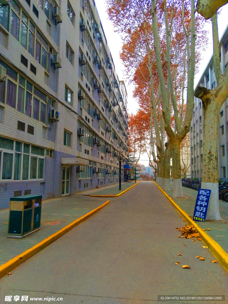 美丽的大学校园风景