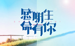 感谢有你