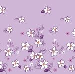 紫叶白花