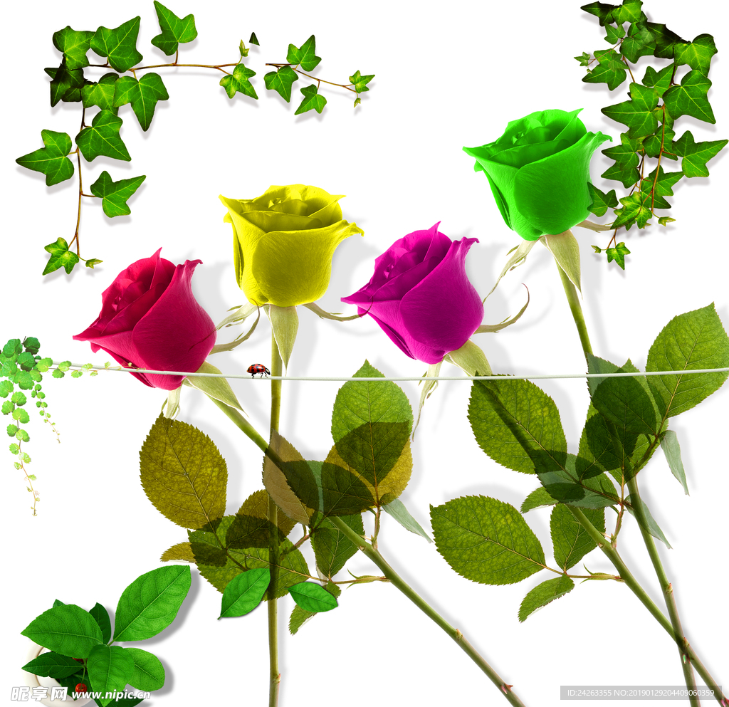 小花花