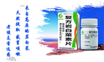 复方岩白菜素