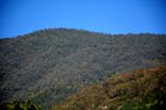 山