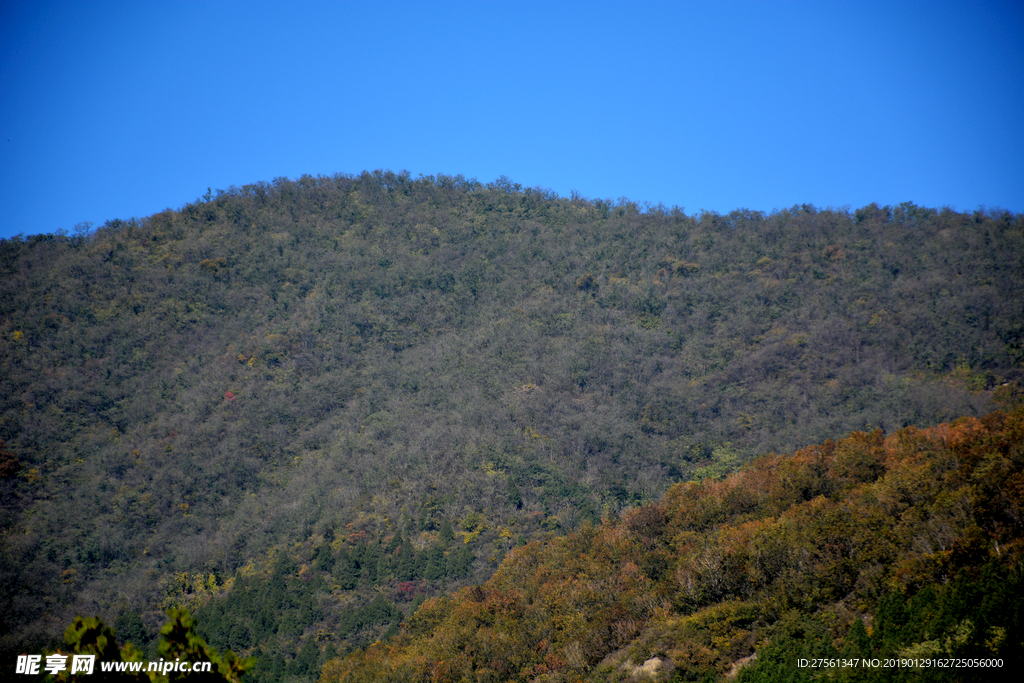 山