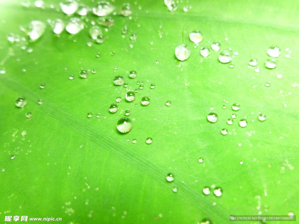 水滴