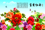 富贵牡丹