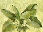 高清东南亚风格芭蕉装饰画