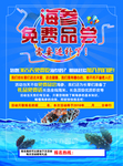海参宣传单