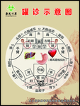 春光寸草罐诊