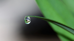 水珠