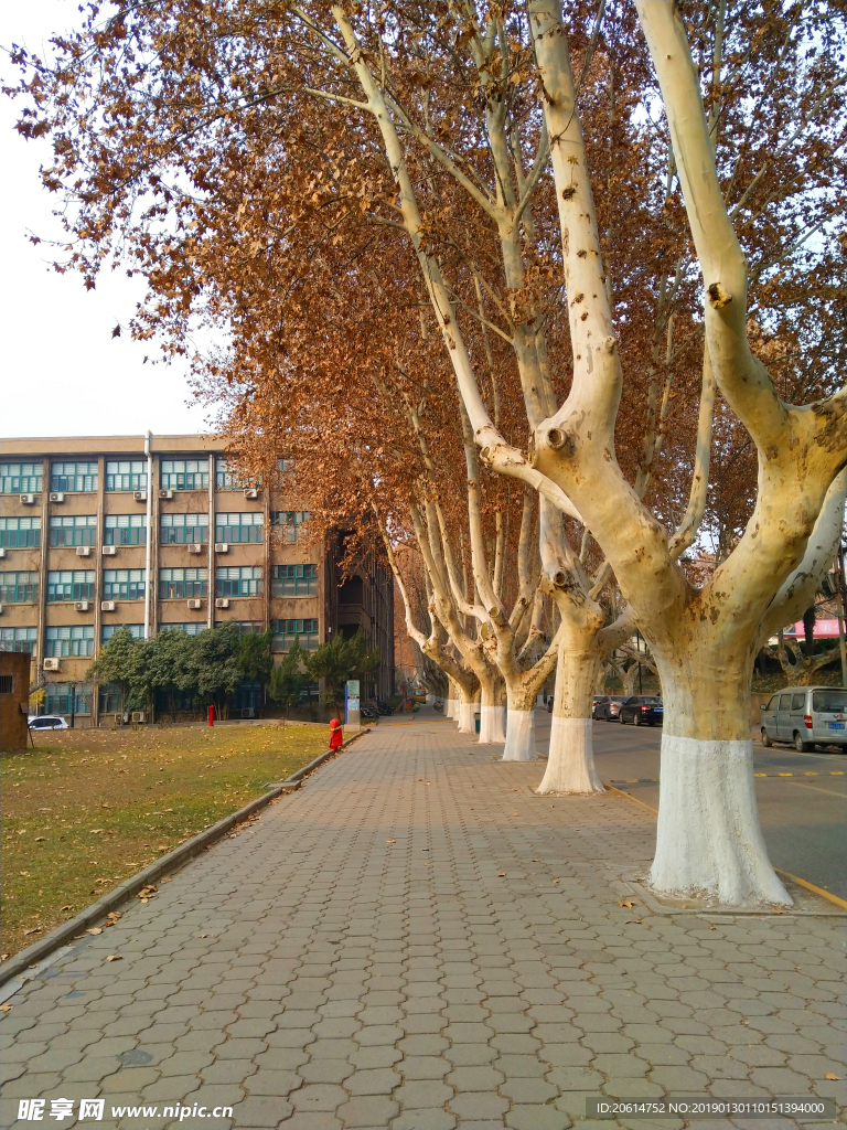 美丽的校园风景