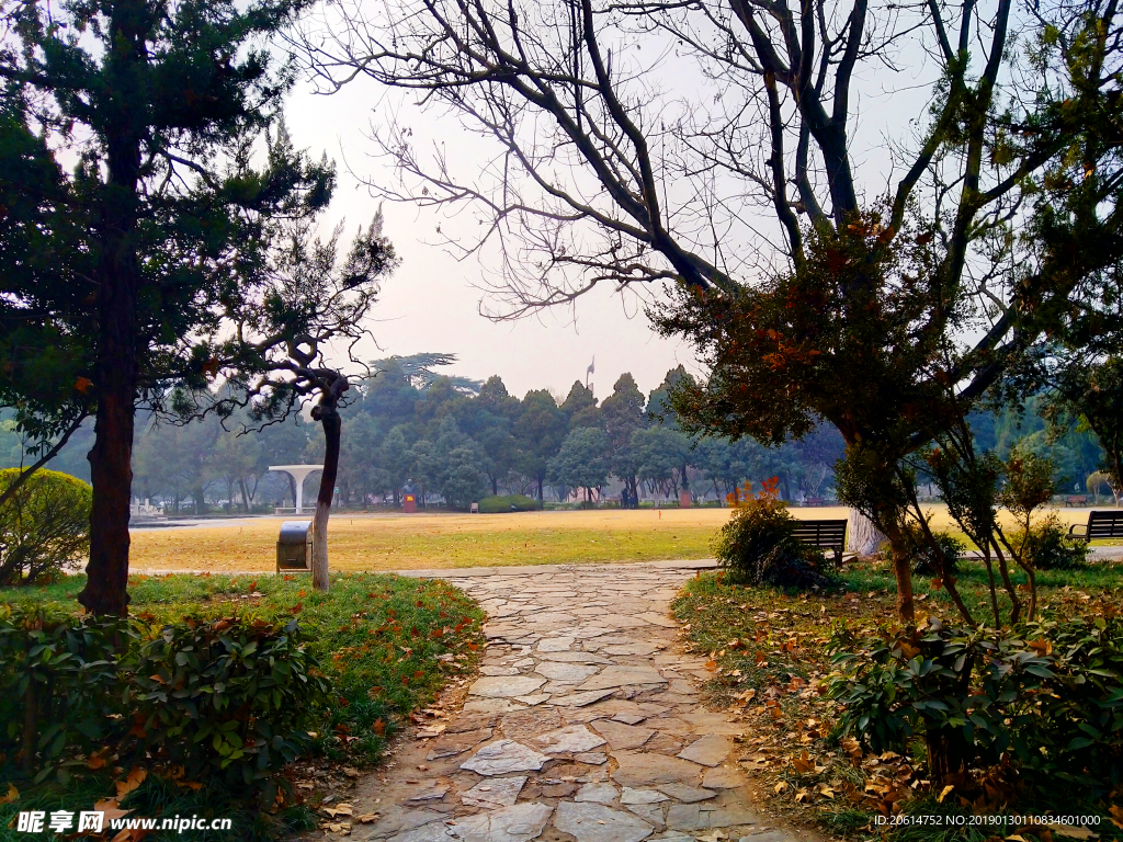 美丽的校园风景