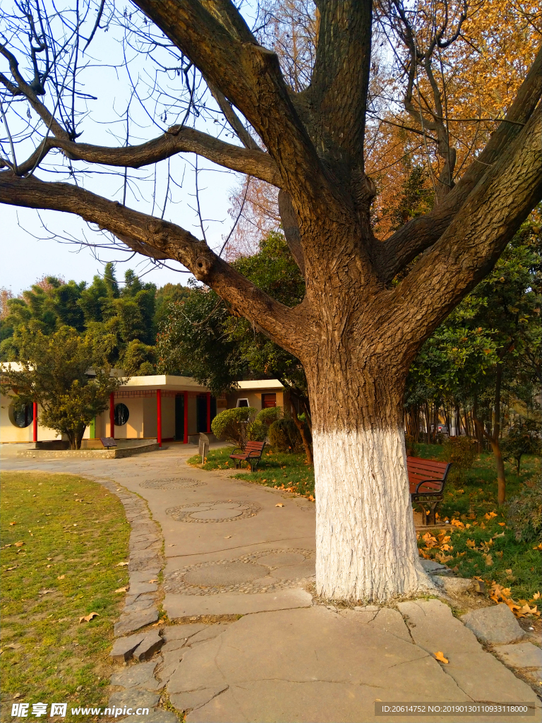 美丽的校园风景