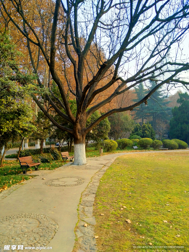 美丽的校园美景