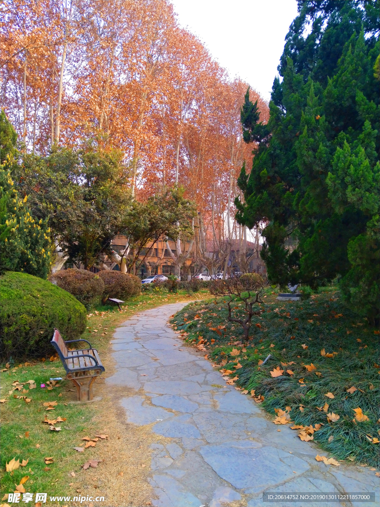 美丽的校园风景