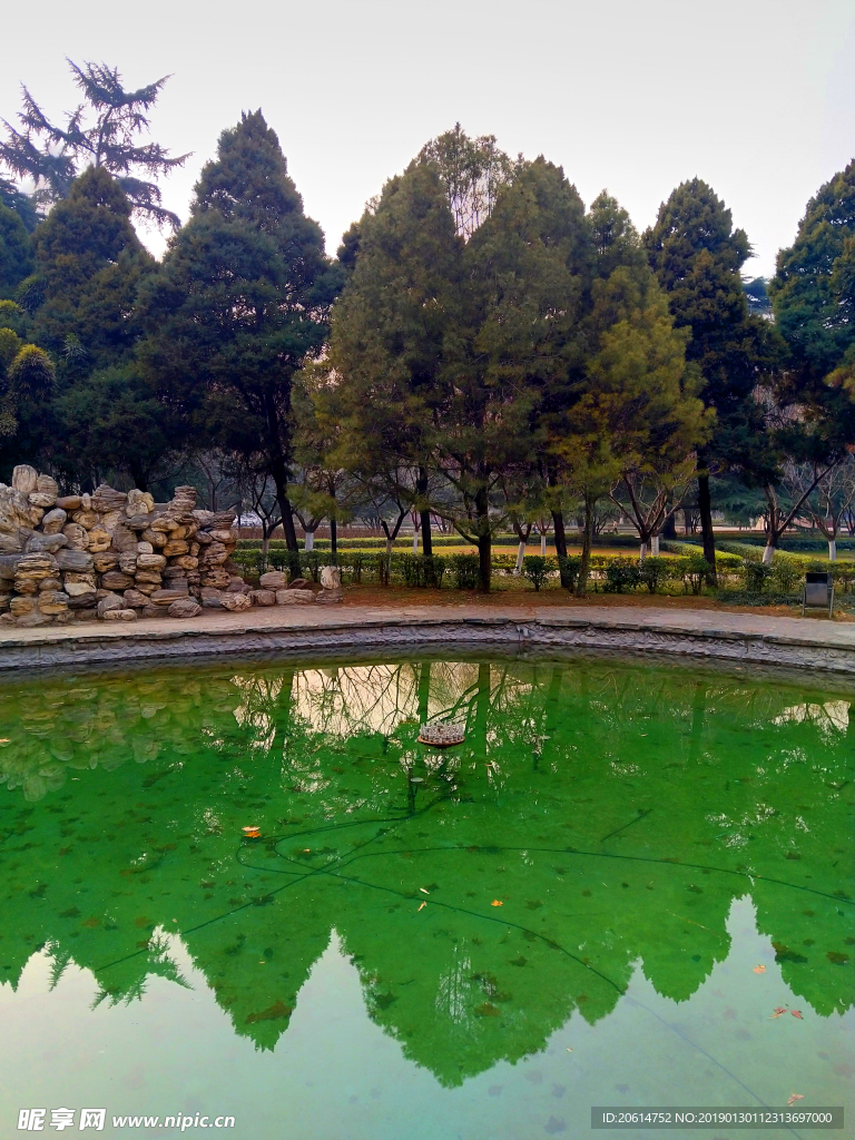 美丽的校园风景