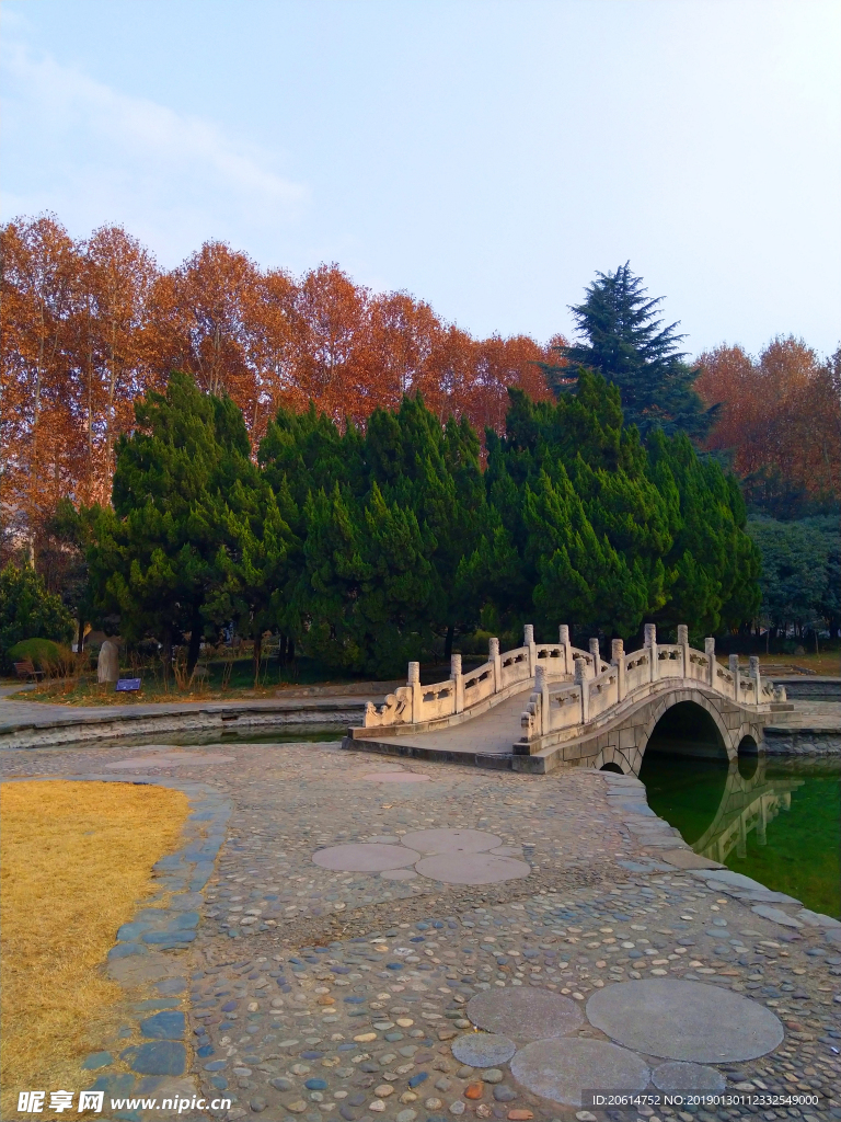 深秋时节的校园风景