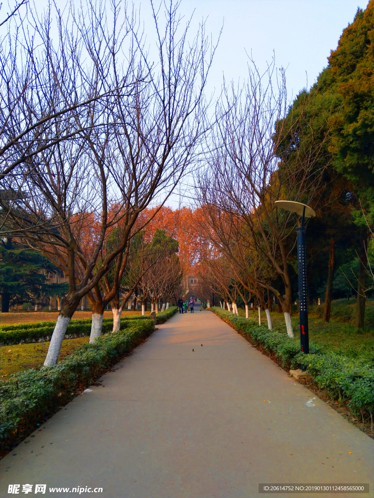 日暮下的校园风景